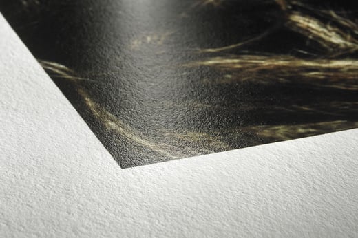 Hahnemühle Photo Rag® Baryta